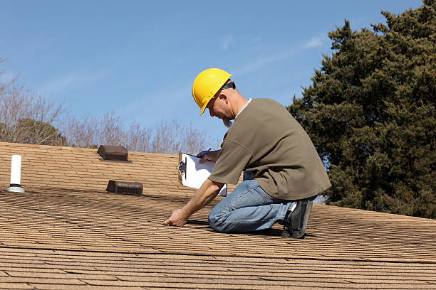 Best Asphalt Shingle Roofing  in Bourg, LA